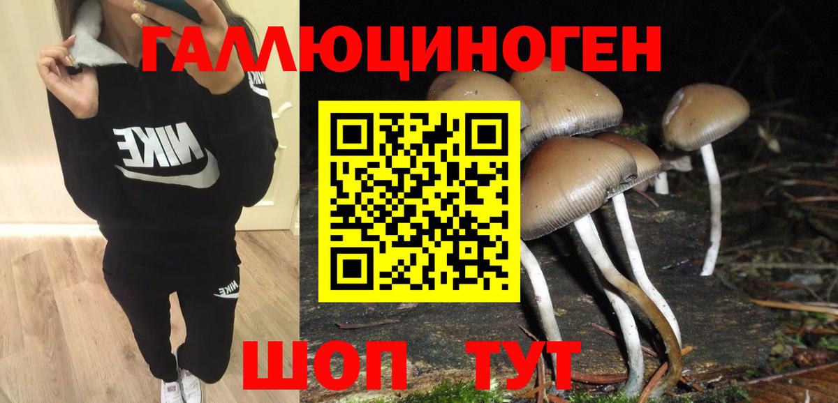 Лениногорск  Псилоцибиновые грибы прущие грибы  Вход с VPN 